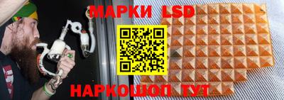гашик Брянск