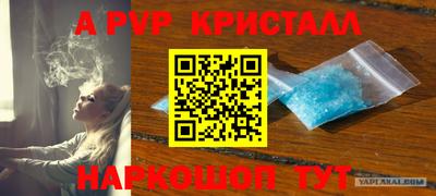 гашик Брянск