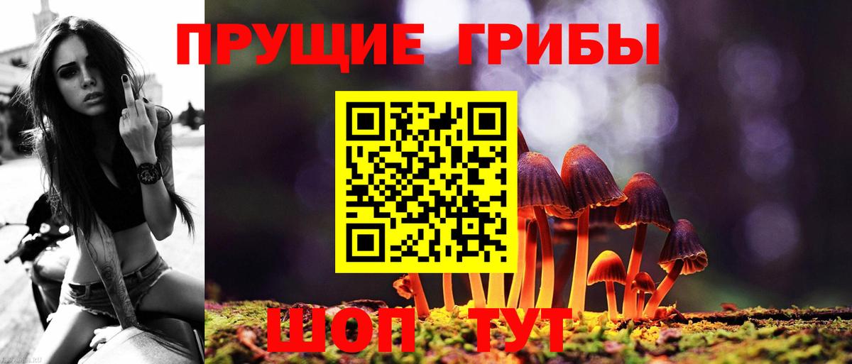 Псилоцибиновые грибы MAGIC MUSHROOMS  как найти   Галлюциногенные грибы MAGIC MUSHROOMS  Гулькевичи  Вход с VPN 
